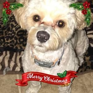 Meet your Posher, Raquel